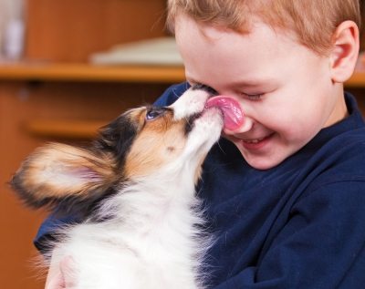 Quer um cão educado?