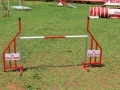 publicitario-salto-2