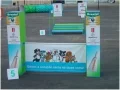 publicitario-muro-3