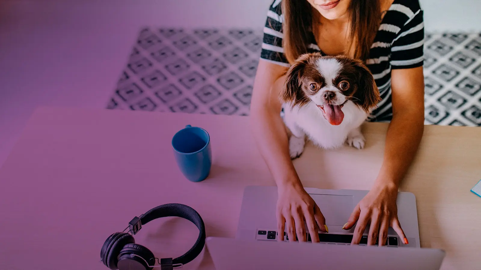 Tutora em aula online pelo notebook, com o cão ao lado