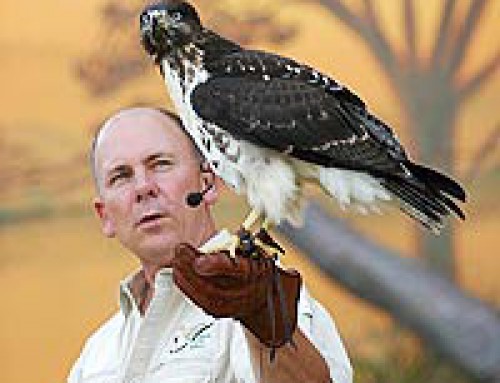 O SEGREDO do Treinamento de aves por Steve Martin