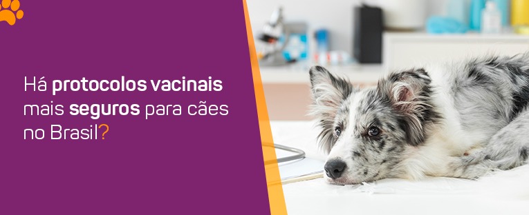 Há protocolos vacinais mais seguros para cães no Brasil?