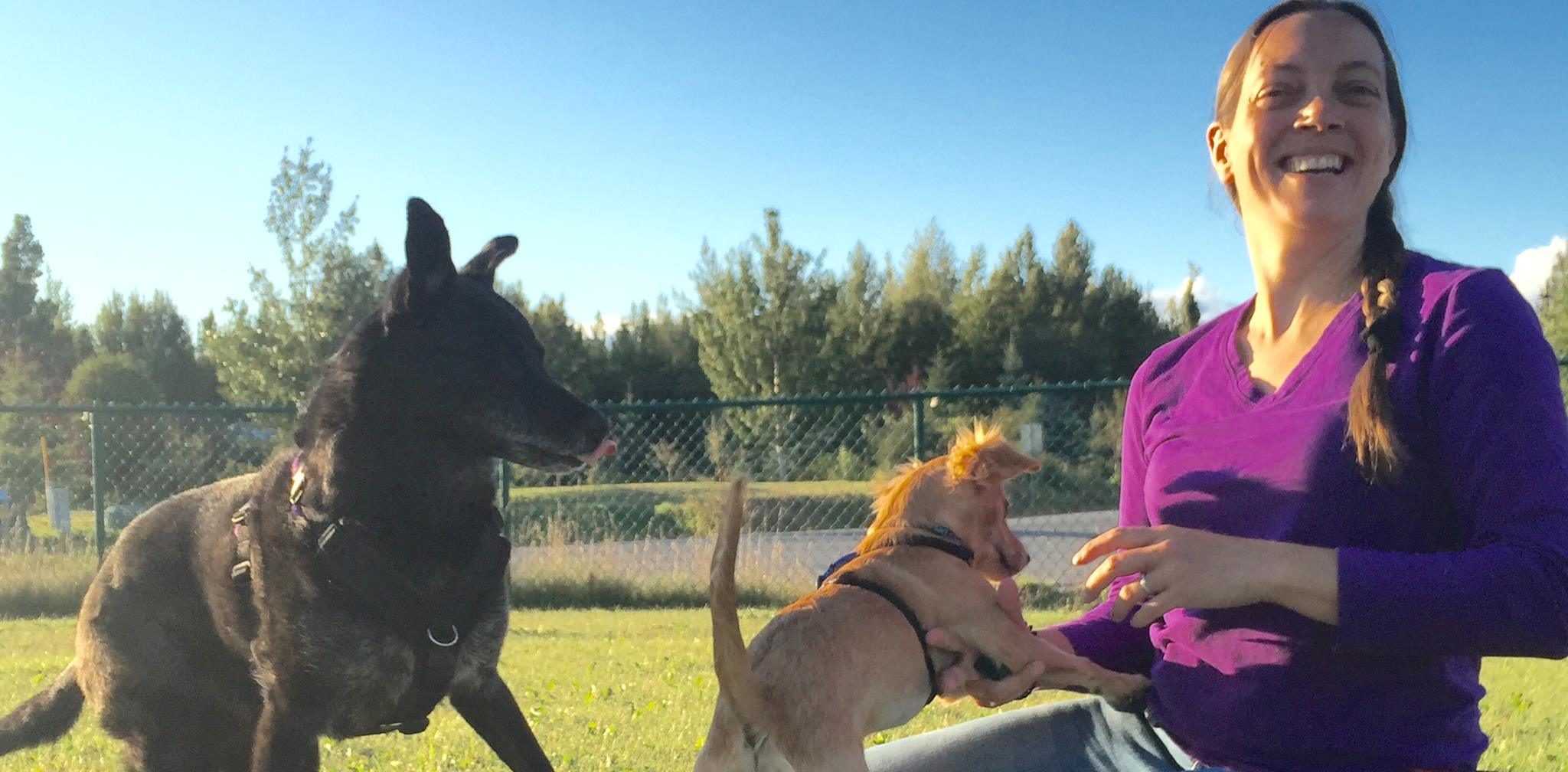 Tudo de Cão: Seminário Internacional